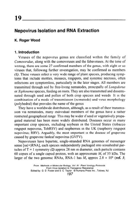 Cover of Ch 19