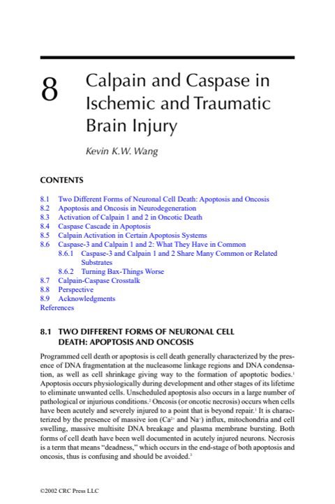 Cover of Chapter 8: Calpain and Caspase in Ischemic and Traumatic Brain Injury