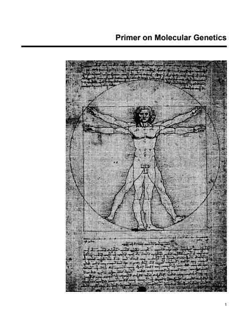 Cover of primer.pm