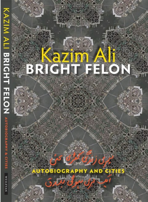 Cover of Bright Felon